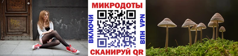 Галлюциногенные грибы ЛСД  Купить закладки  Цимлянск 